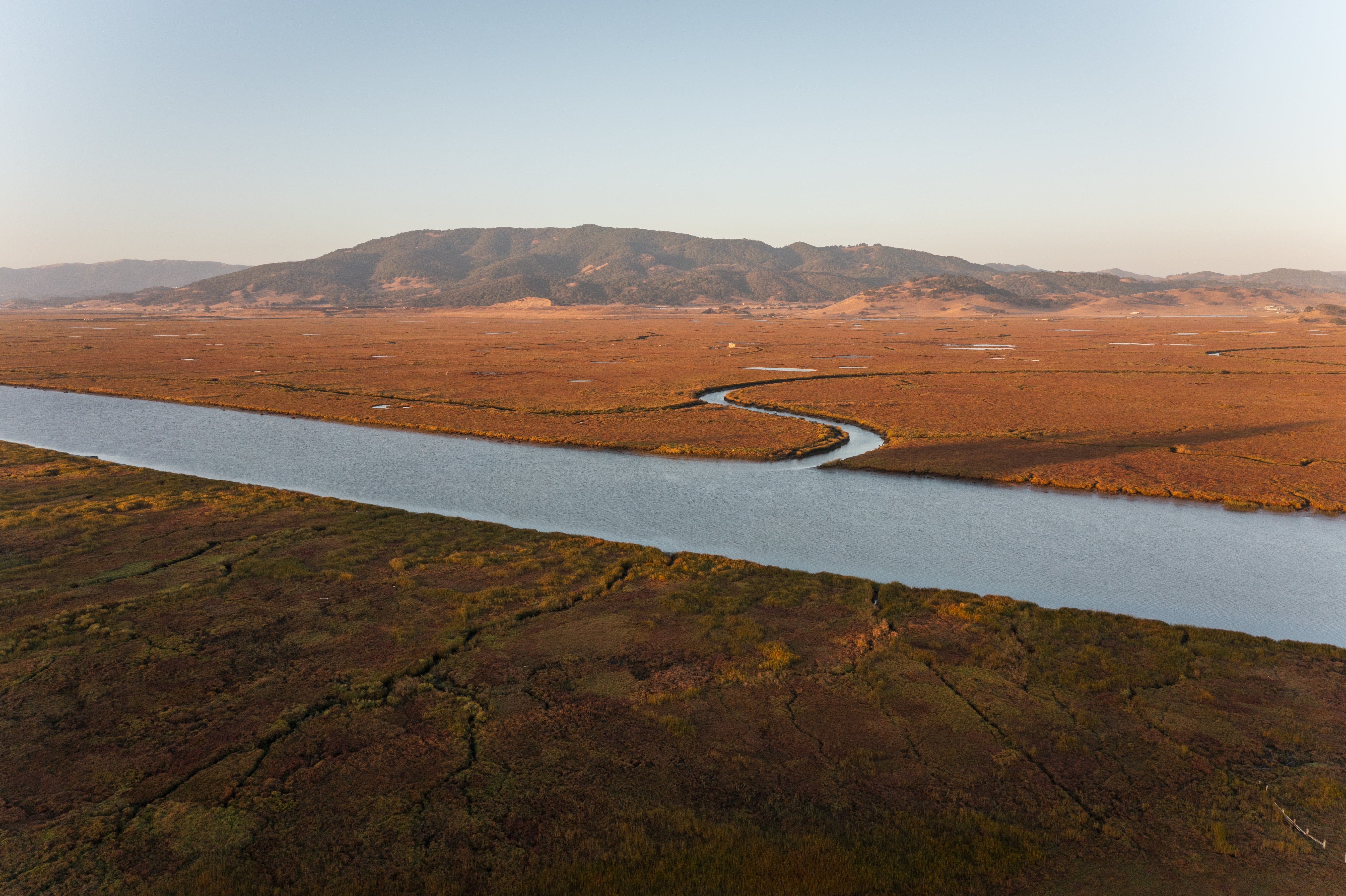 Section Image
