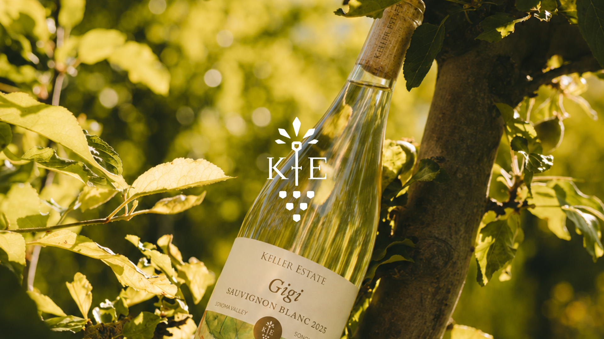 The Origin: 2025 Gigi Sauvignon Blanc