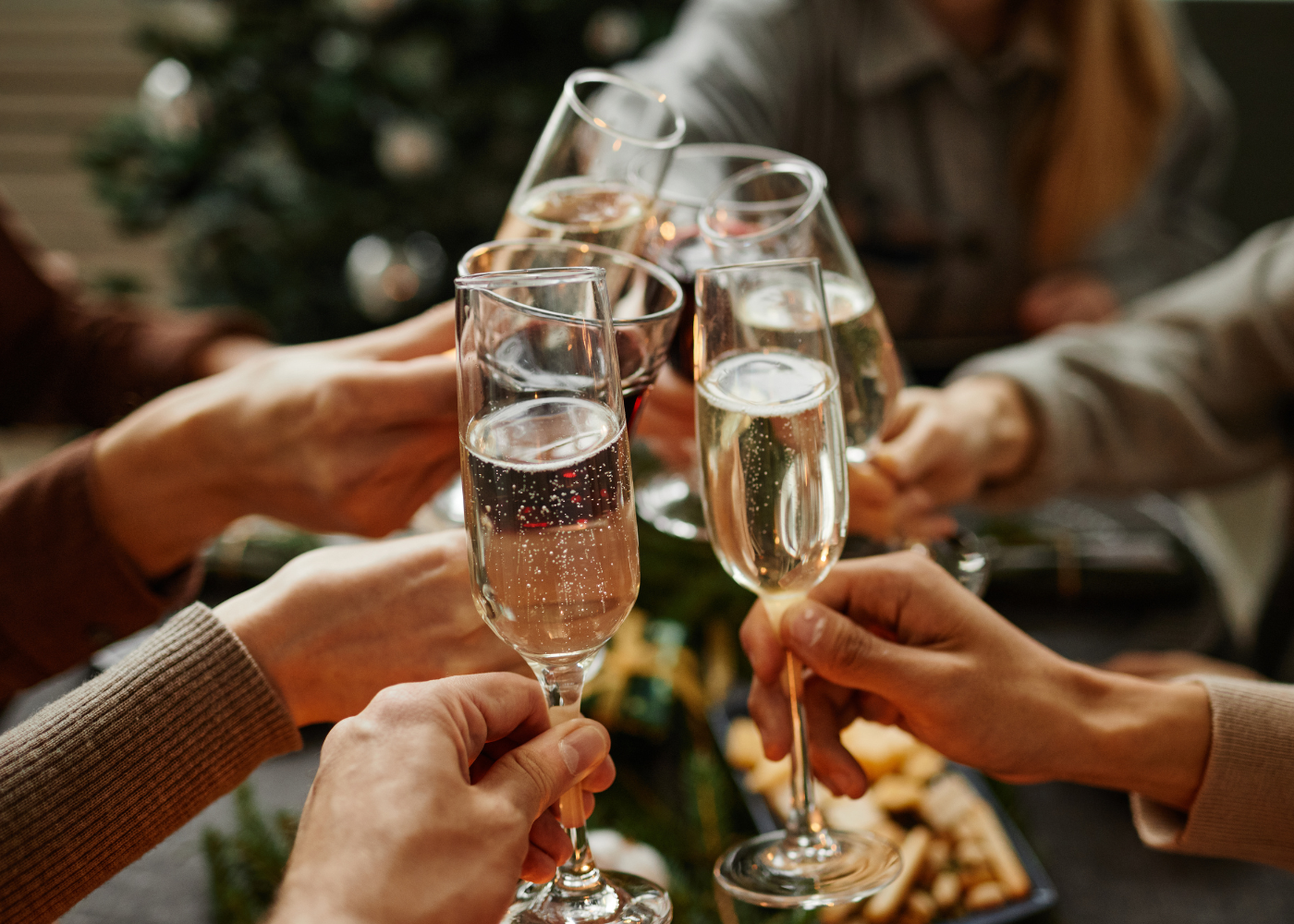 Vino y Fiesta! A Holiday Celebration for Our Members