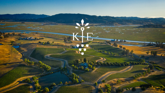 Precision, Rooted in Place.