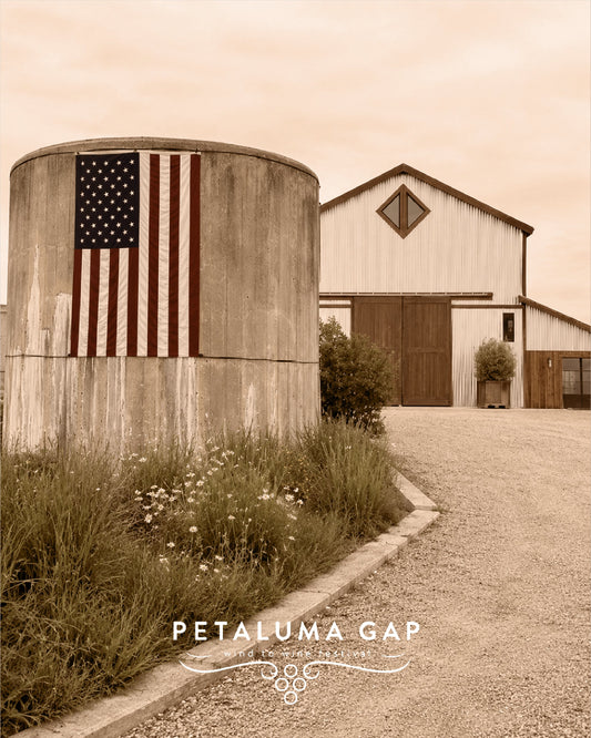 PETALUMA GAP WIND TO WINE FESTIVAL