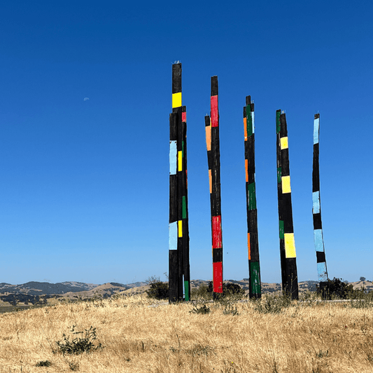 What a Sonoma Winery learned from a trip down the Rhone River