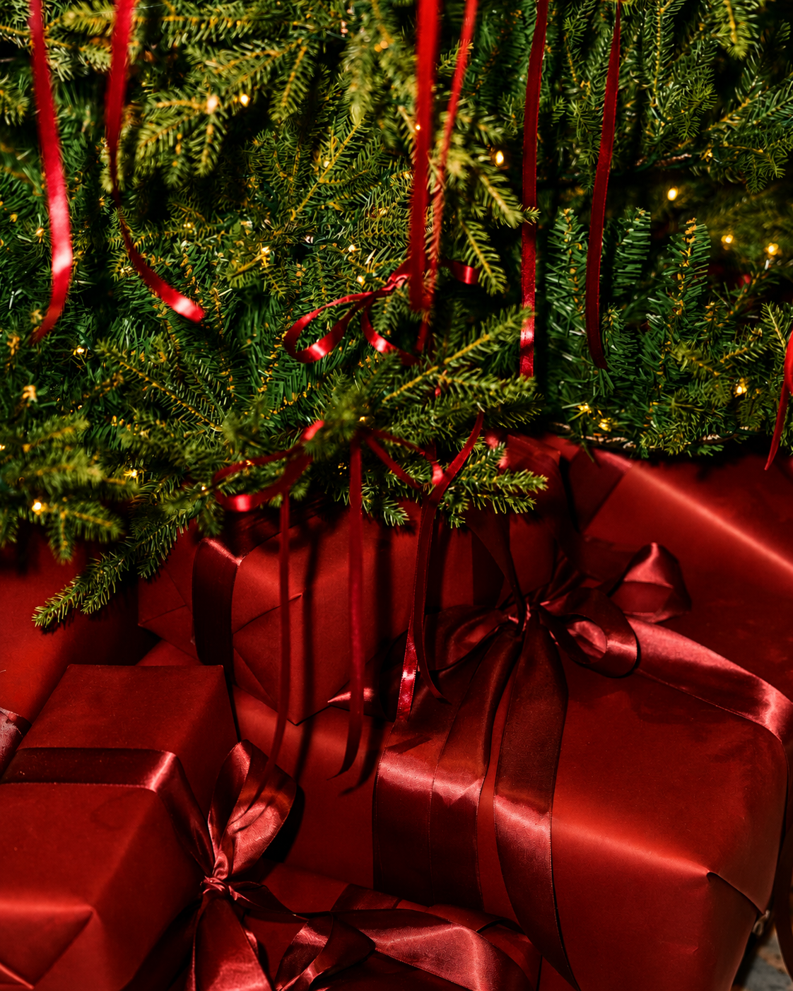Holiday Celebration / Club Pick Up Party 2026