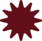Our Story Icon